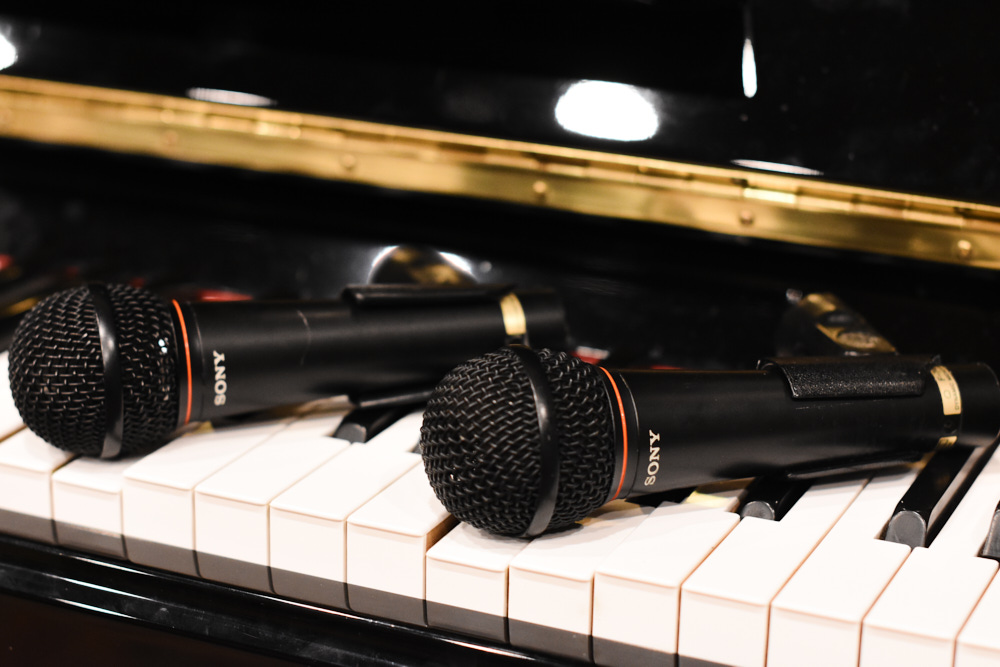 Two Sony F740 dynamic microphones